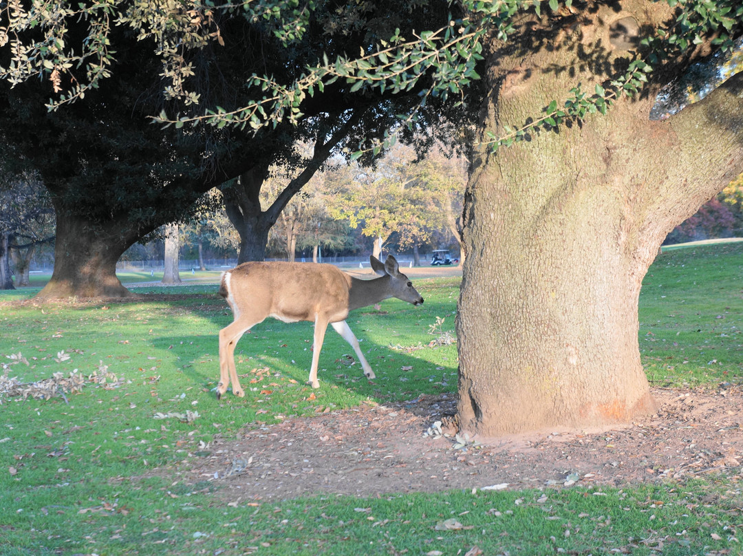 Ancil Hoffman Park-Carmichael必去景点