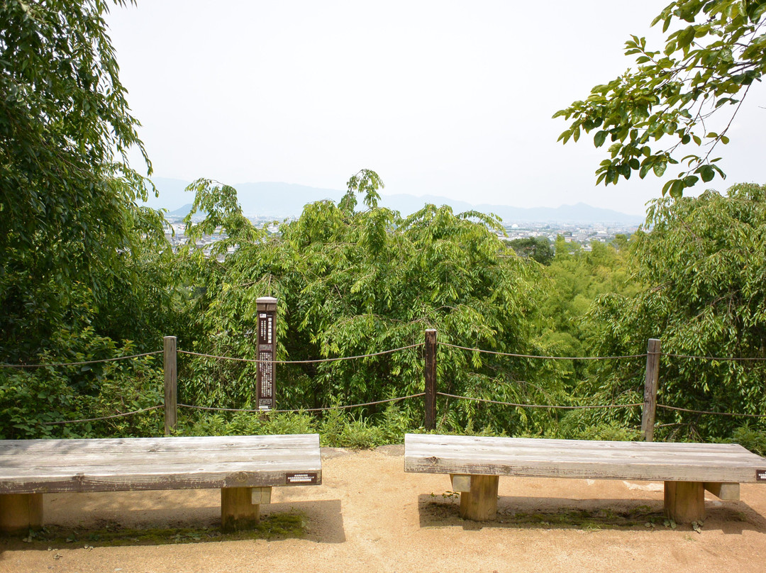 Omiwanomori Ｖiewingplatform-樱井市必去景点