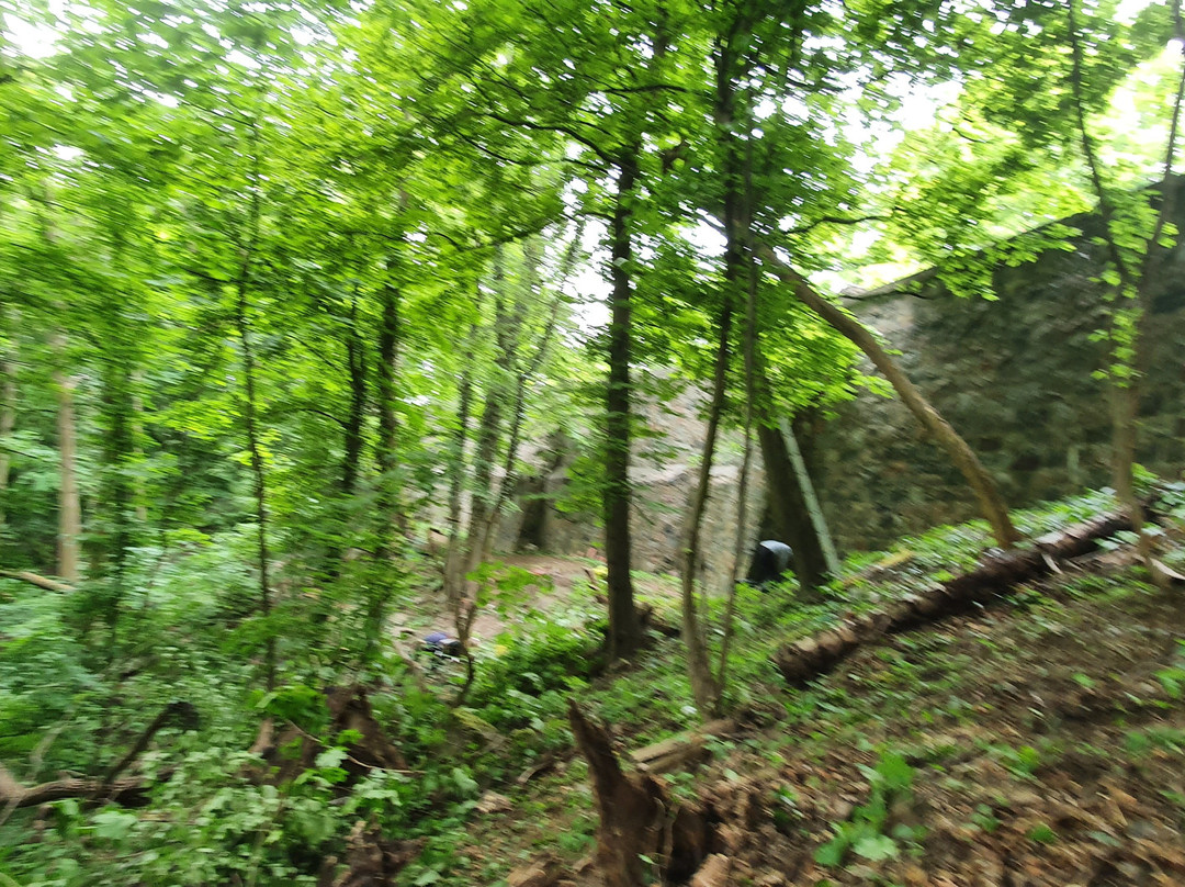 Wieza Gocławska Wieza Bismarcka景点图片