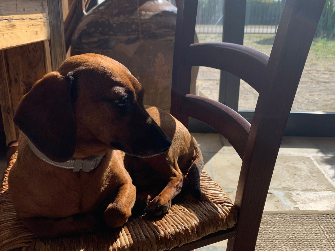 B&B A Casa Di Margherita主图