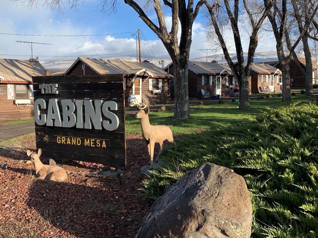 The Cabins of Grand Mesa