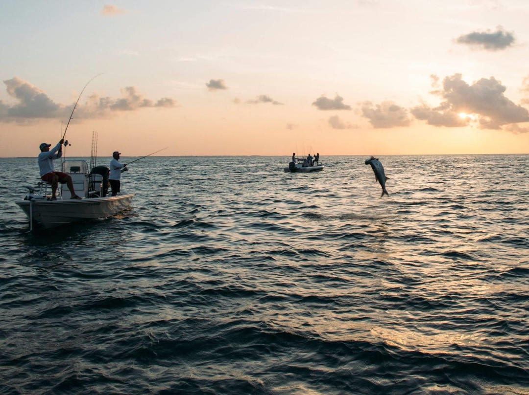 Native Salt Charters-Placida必去景点