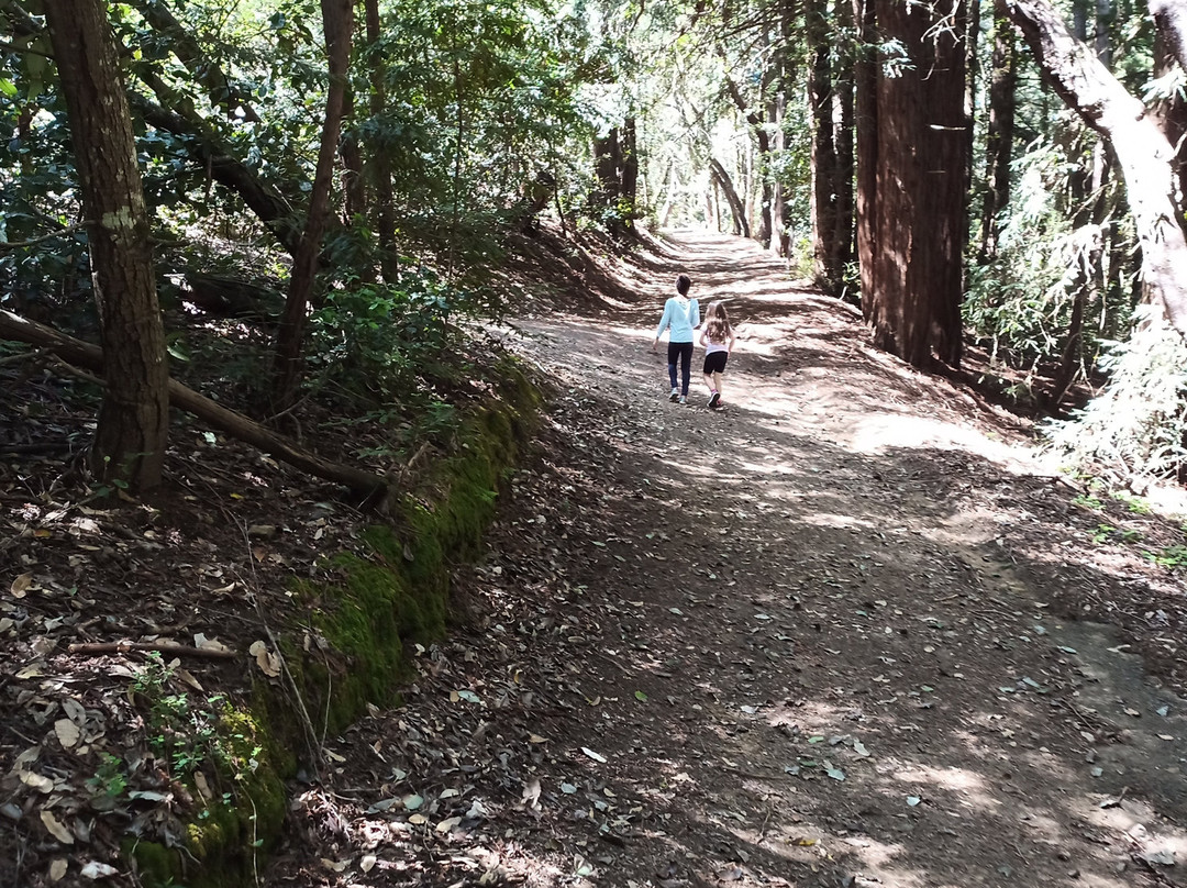 Mount Madonna County Park-沃森维尔必去景点