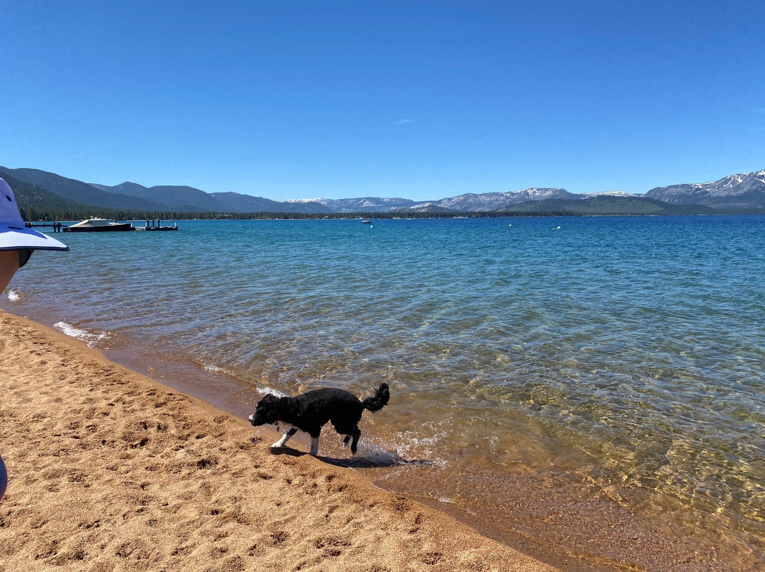 Rabe Meadows-Stateline必去景点