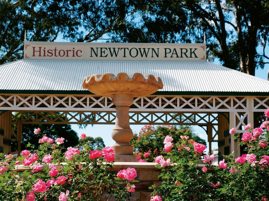 Newtown Park & Queensland State Rose Garden景点图片