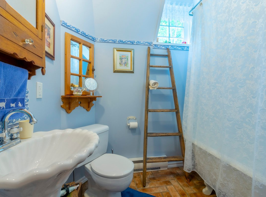 Au Manoir d'Irlande主图