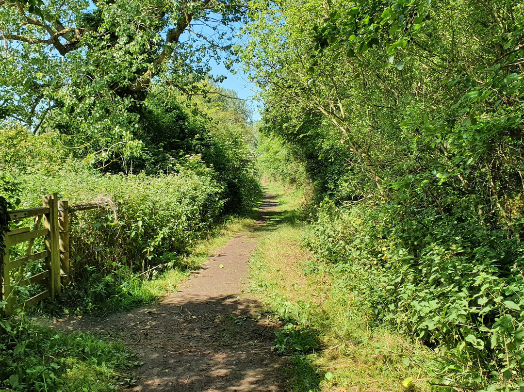Anna's Walk-Thornham必去景点