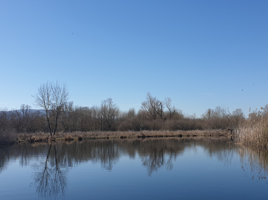 Nature Park Hutovo Blato景点图片