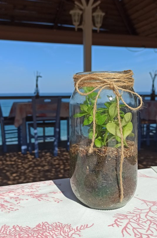 Hotel Akrogiali主图