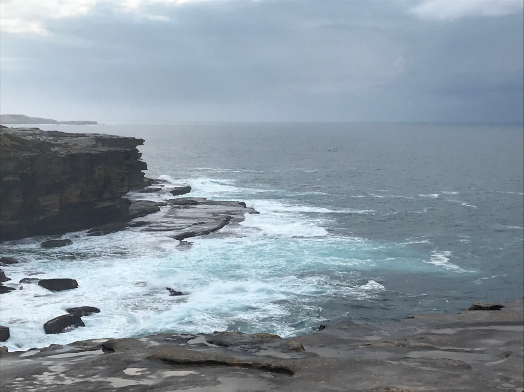 Cape Solander景点图片
