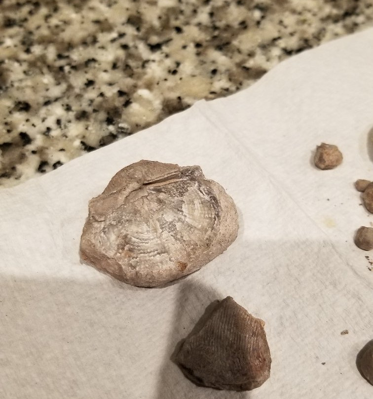 Paleo Site-Payson必去景点