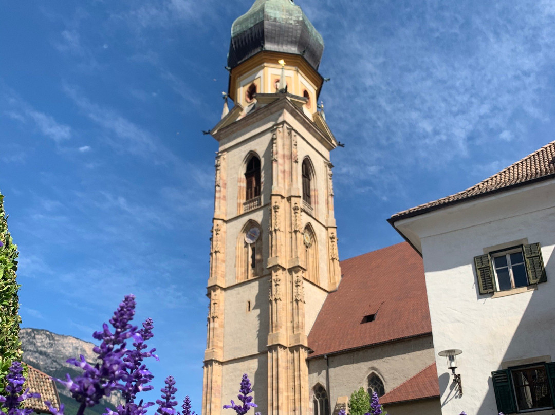 Chiesa della Conversione di San Paolo景点图片