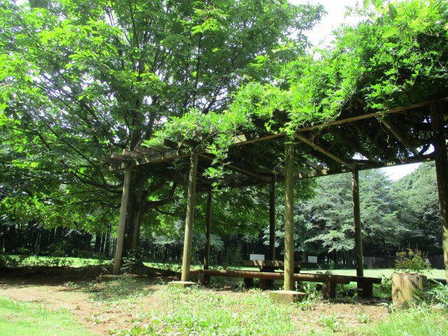 Funabashi Kemmin no Mori-船桥市必去景点