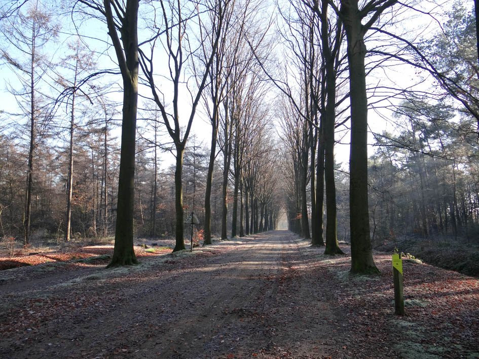 Natuurgebied Beekvliet-Borculo必去景点