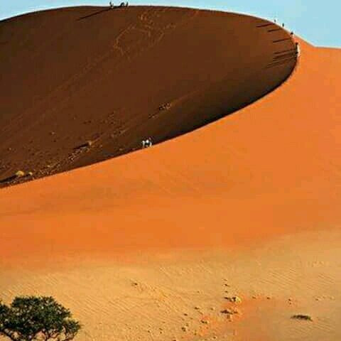 Namib Desert-苏丝斯黎必去景点