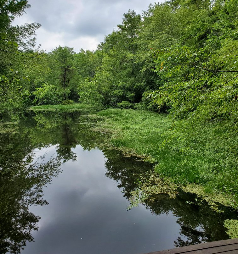 Reed Bingham State Park-Adel必去景点