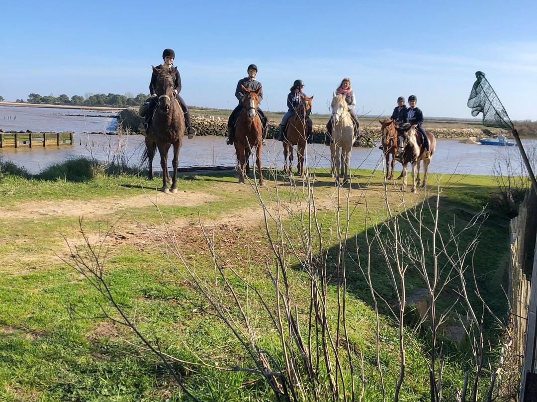 Centre de Tourisme Equestre de St Vivien景点图片