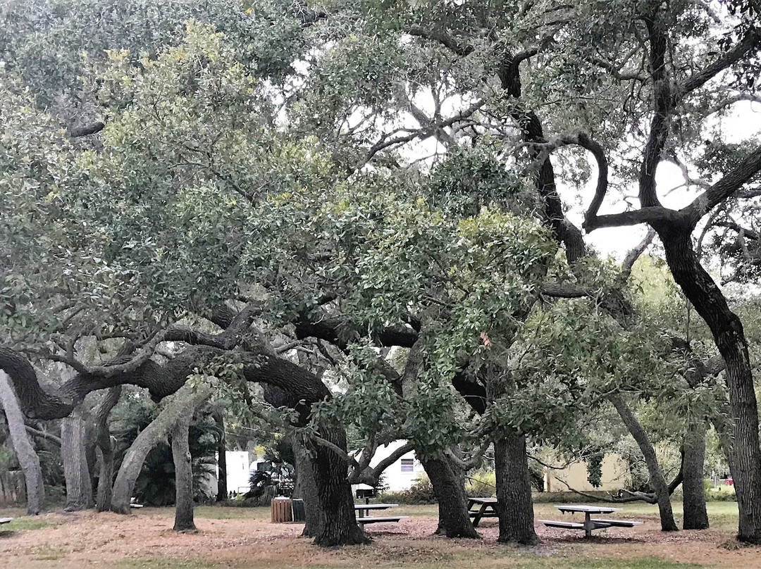 Arlington Park and Aquatic Complex-萨拉索塔必去景点