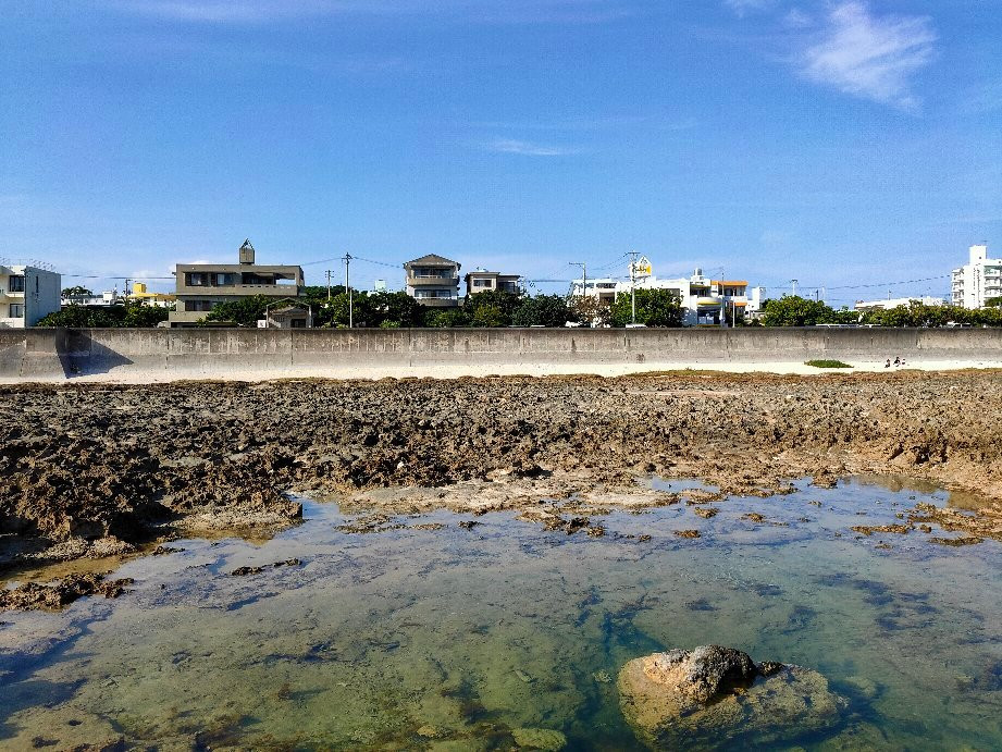 Ojima Coast景点图片