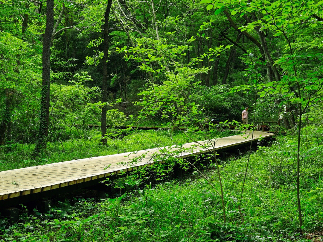 Komiya Park-八王子市必去景点