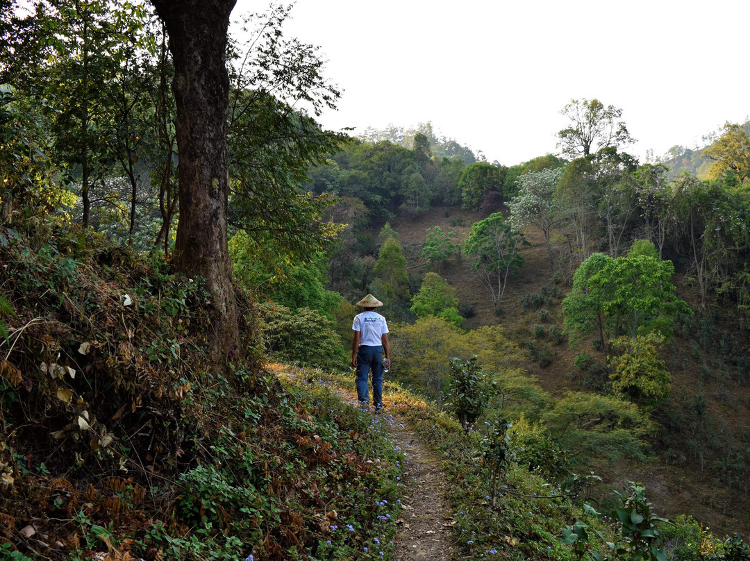 Firefly Adventure Myanmar-西保必去景点