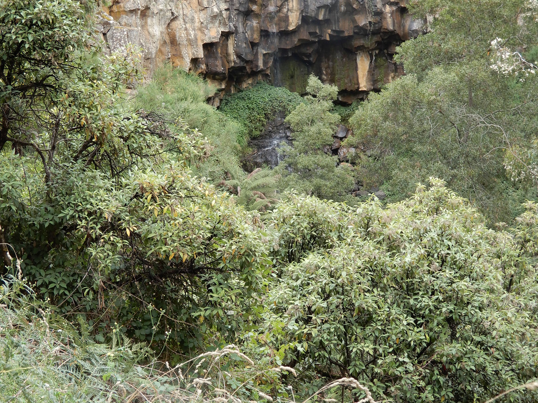 Sailors Falls & Mineral Springs-Sailors Falls必去景点
