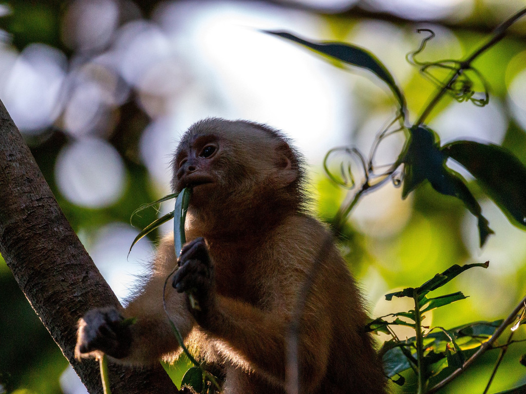 Bush Bush Wildlife Sanctuary