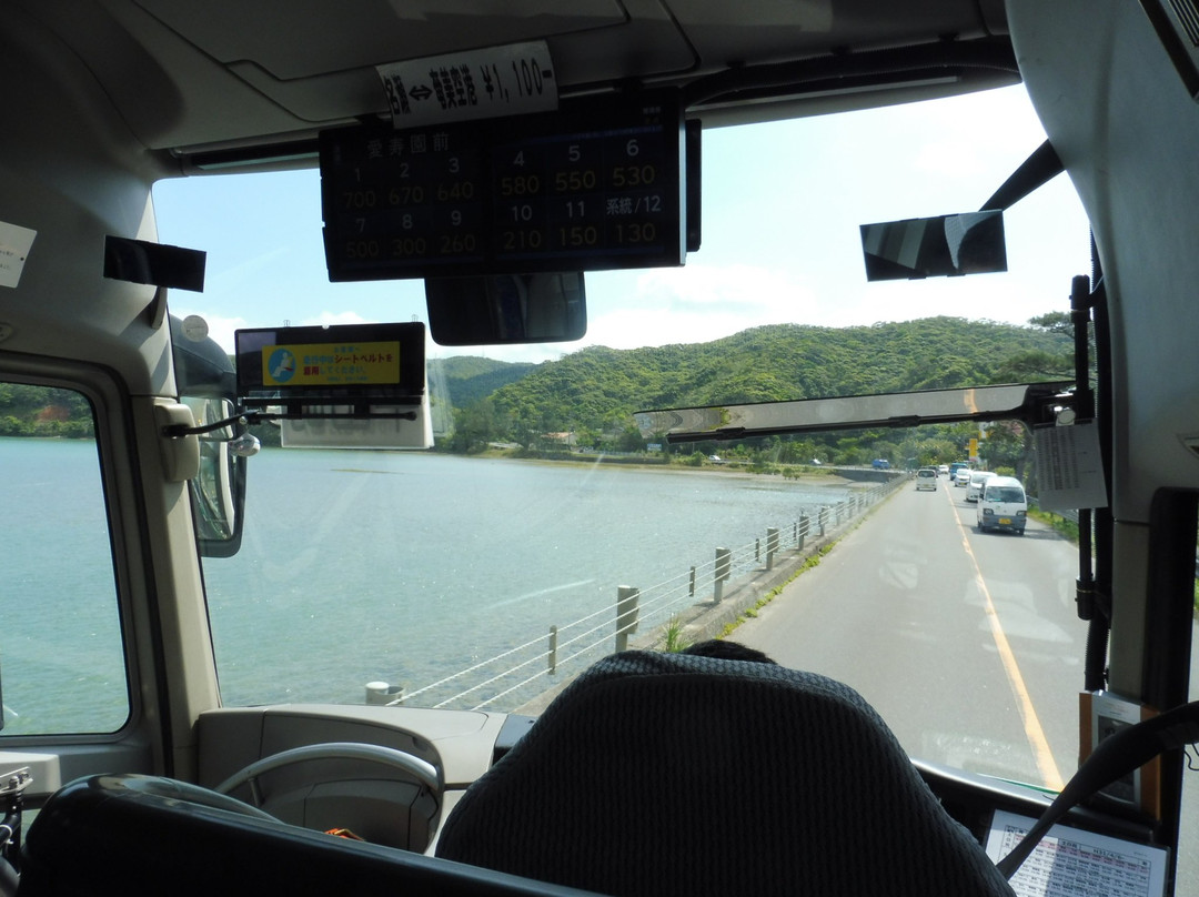 Shima Bus-奄美市必去景点