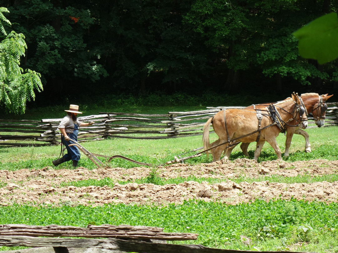 The Homeplace-田纳西必去景点