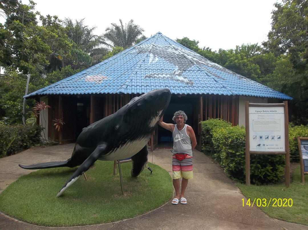 Centro de Visitantes Espaço Baleia Jubarte-普拉亚多海滩必去景点