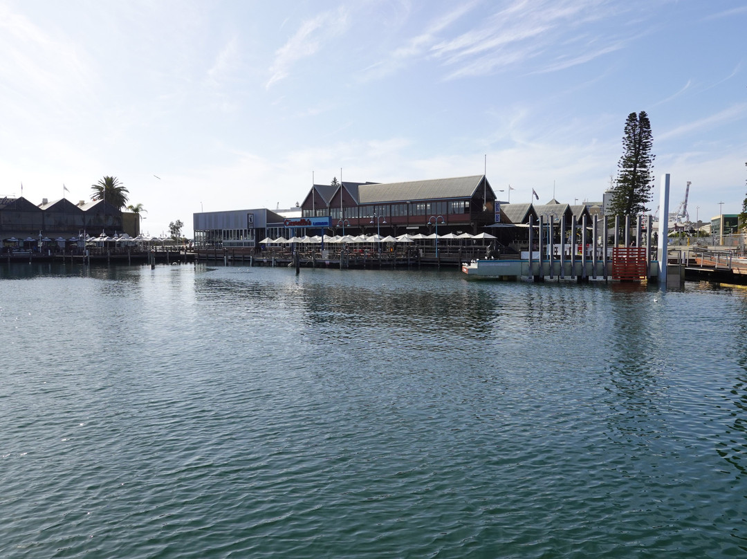 Fremantle Fishing Boat Harbour景点图片