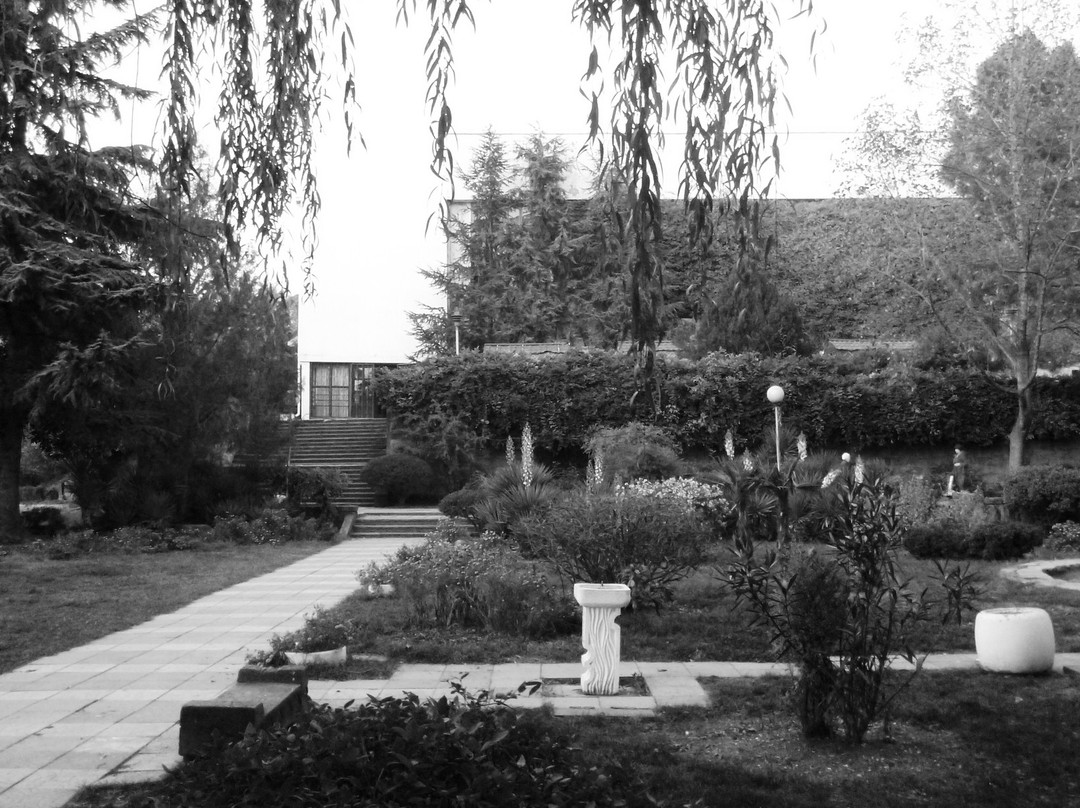 City Park景点图片