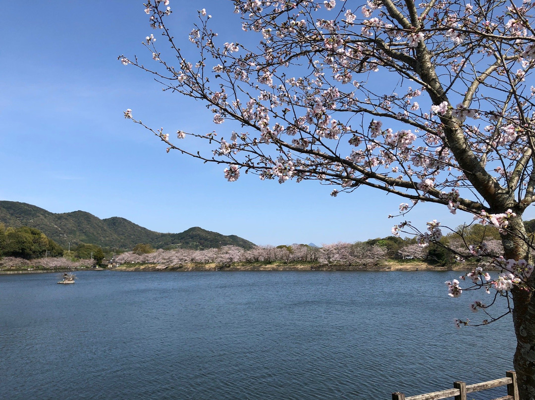 Tachioka Nature Park景点图片