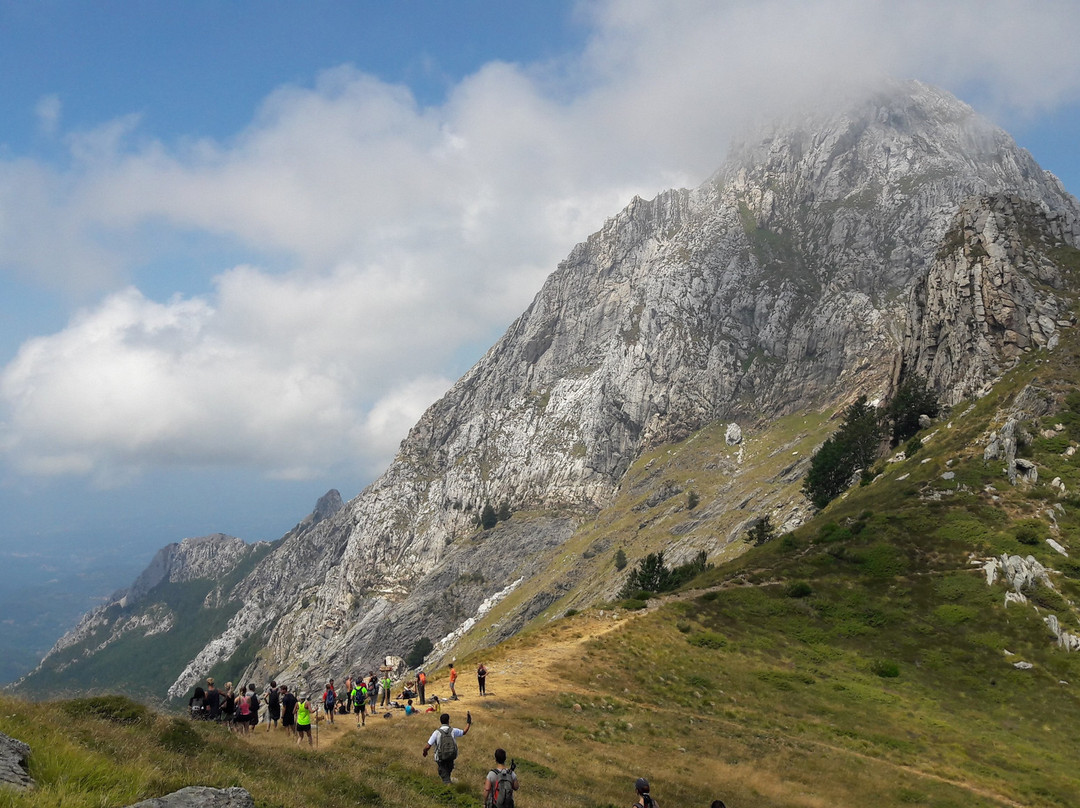 Wild Trails Guide Escursionistiche景点图片