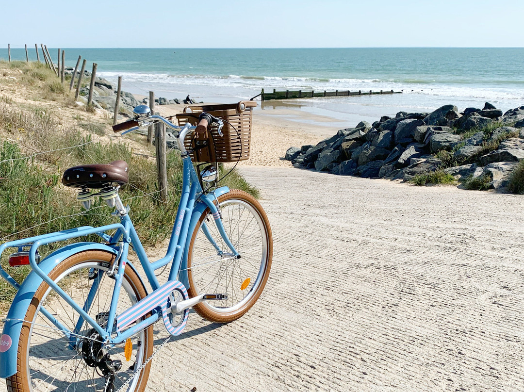 Beach Bikes Location de Vélo - Le Bois Plage景点图片