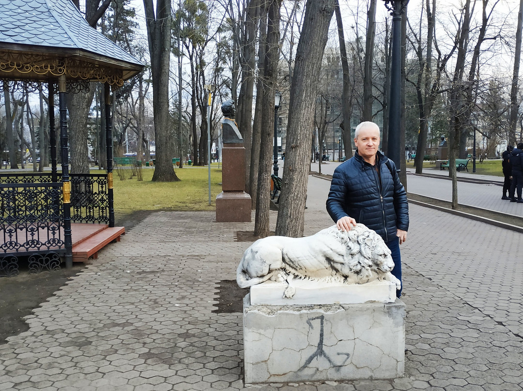 Stefan cel Mare Park-基希讷乌必去景点