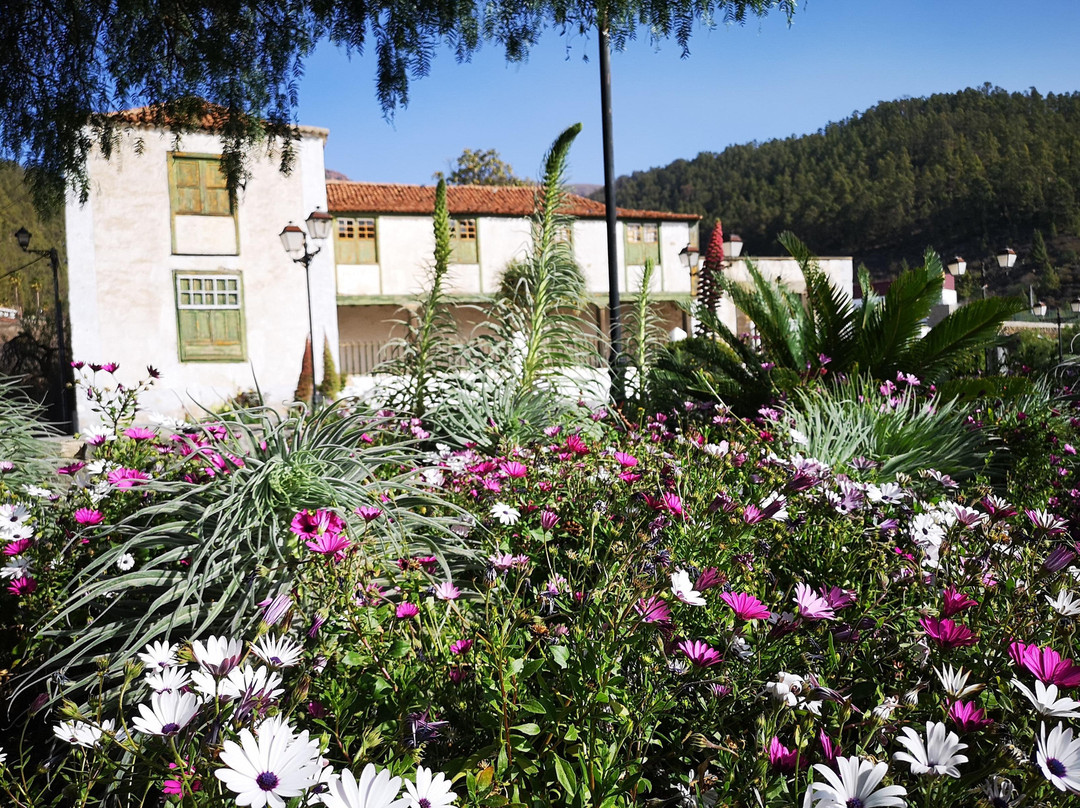 Tenerife Stars-特纳里夫必去景点