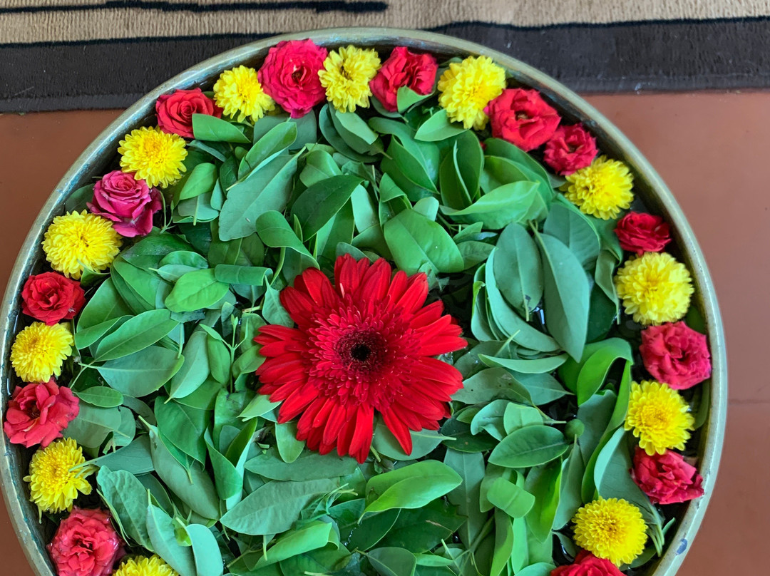 Indus Valley Ayurvedic Centre主图