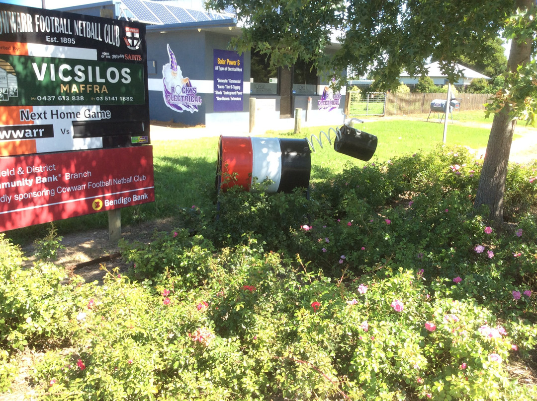 Cowwarr Cows-Cowwarr必去景点