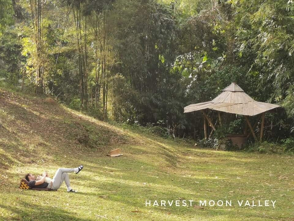 Harvest Moon Valley ฮาเวสมูน วัลเล่ย์