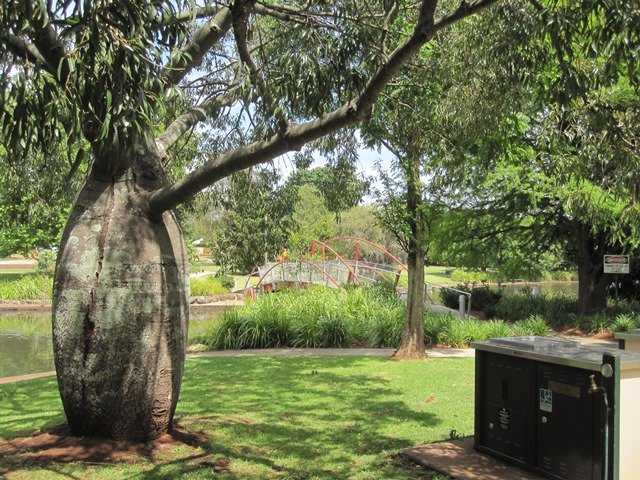 Lake Annand Park-图沃柏必去景点