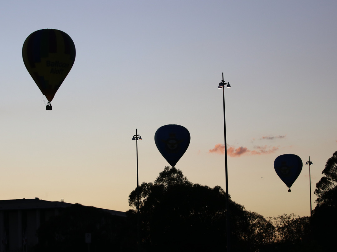 2024年1月Balloon Aloft Canberra景点攻略Balloon Aloft Canberra门票预订地址图片Balloon Aloft Canberra景点点评猫途鹰