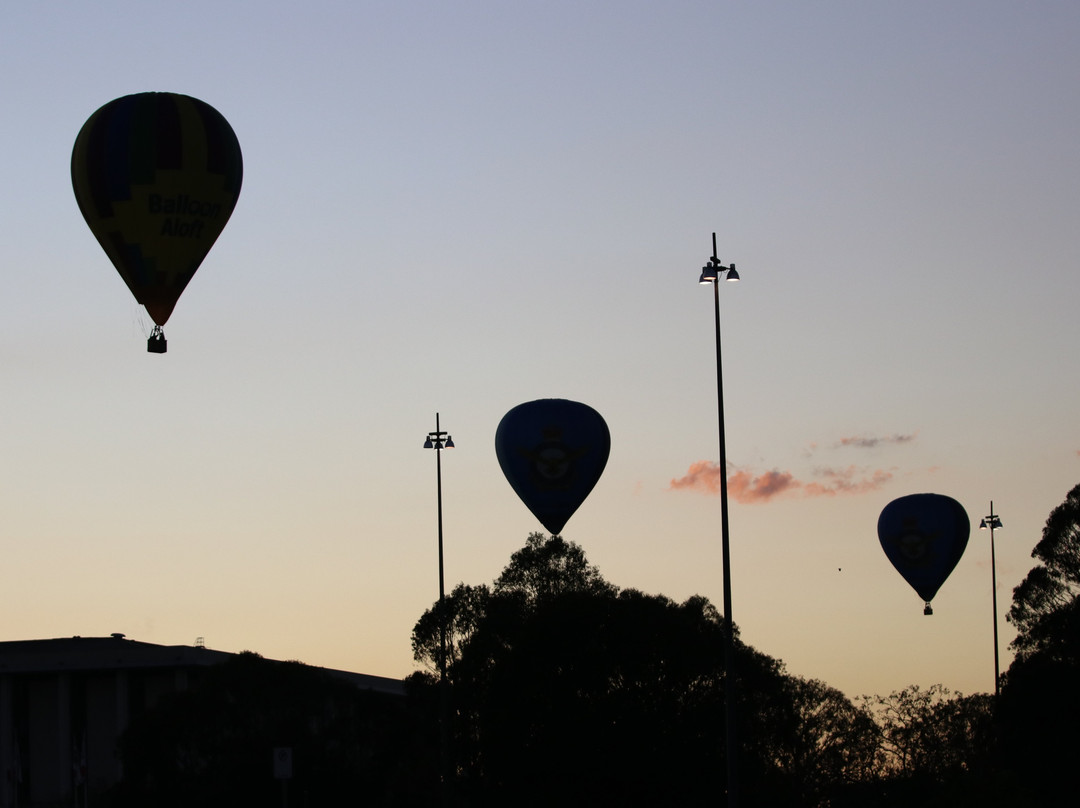 Balloon Aloft Canberra景点图片