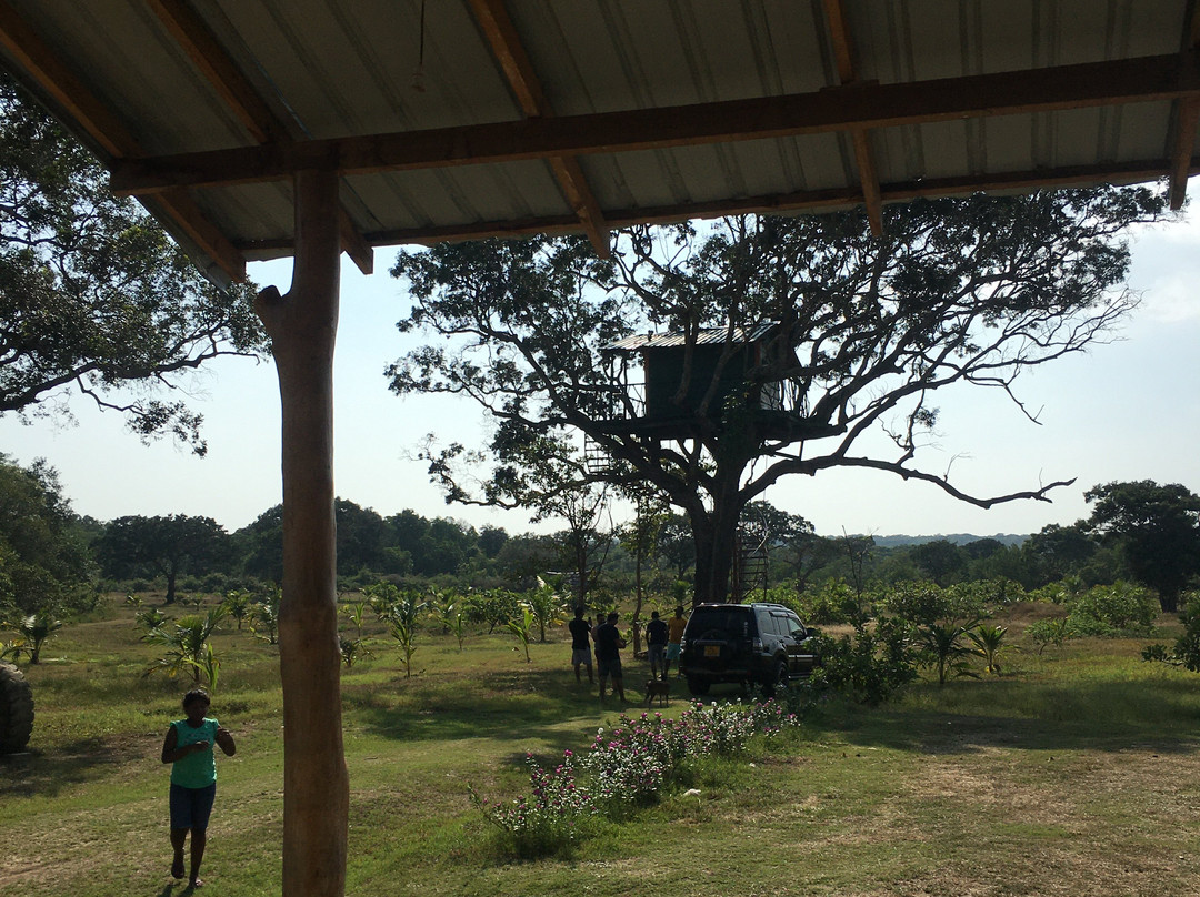 Wilpattu River Side Camp