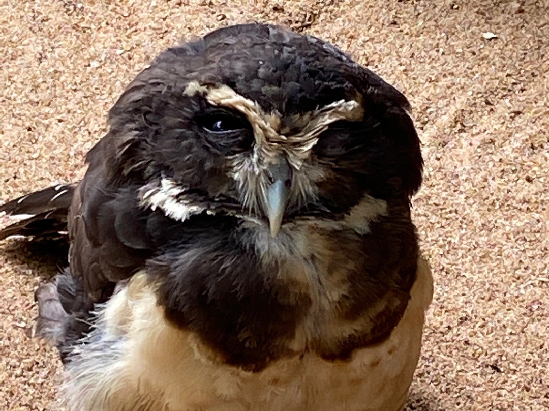 Museu de Biologia Prof. Mello Leitão-Santa Teresa必去景点