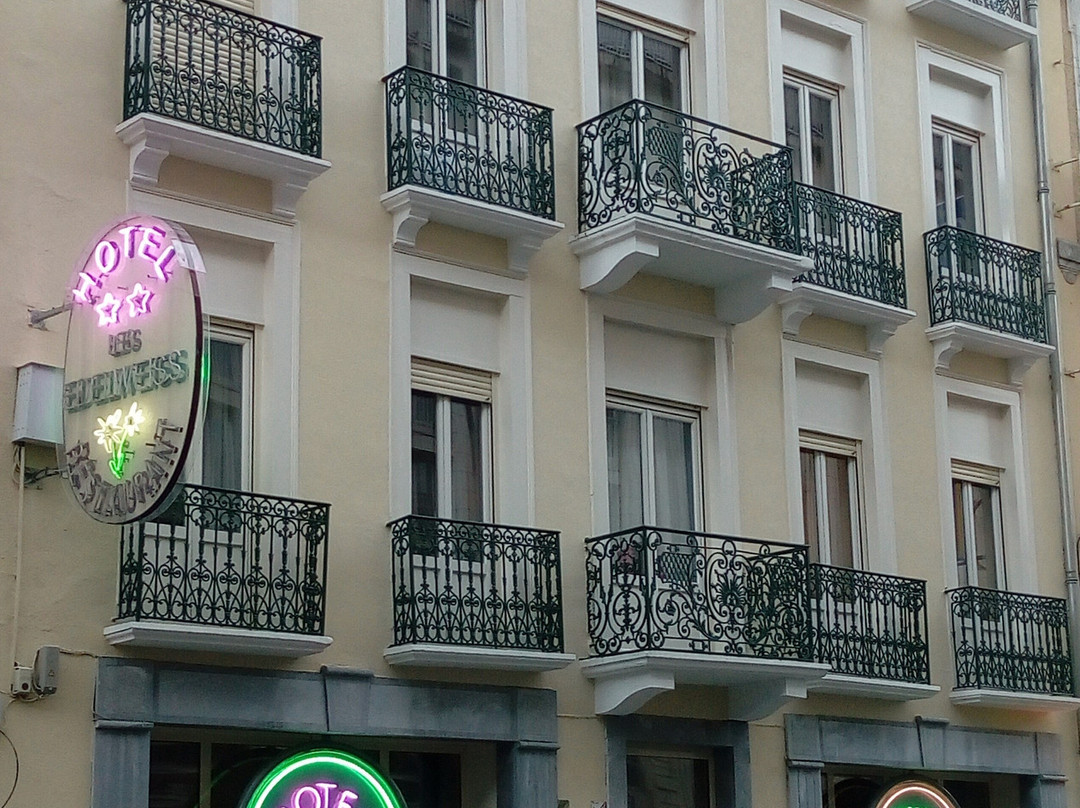 Hotel Les Edelweiss主图