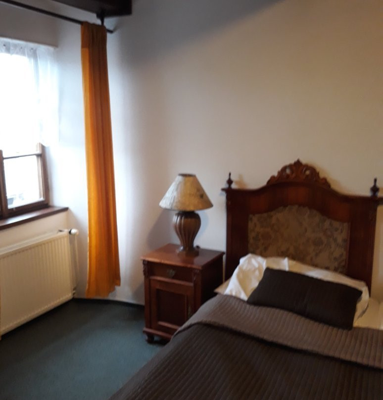 Hotel Zlaty kohout主图