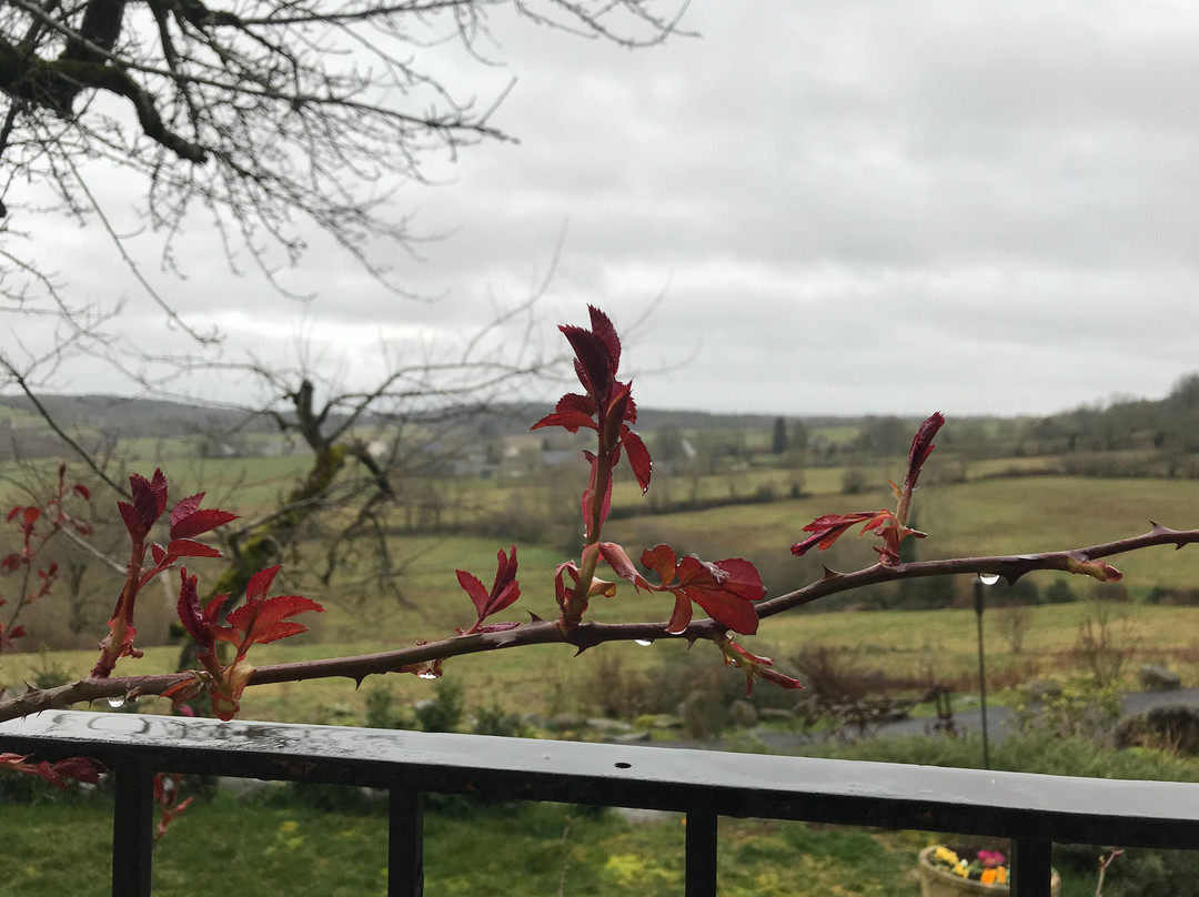 La Ferme de Chadet主图