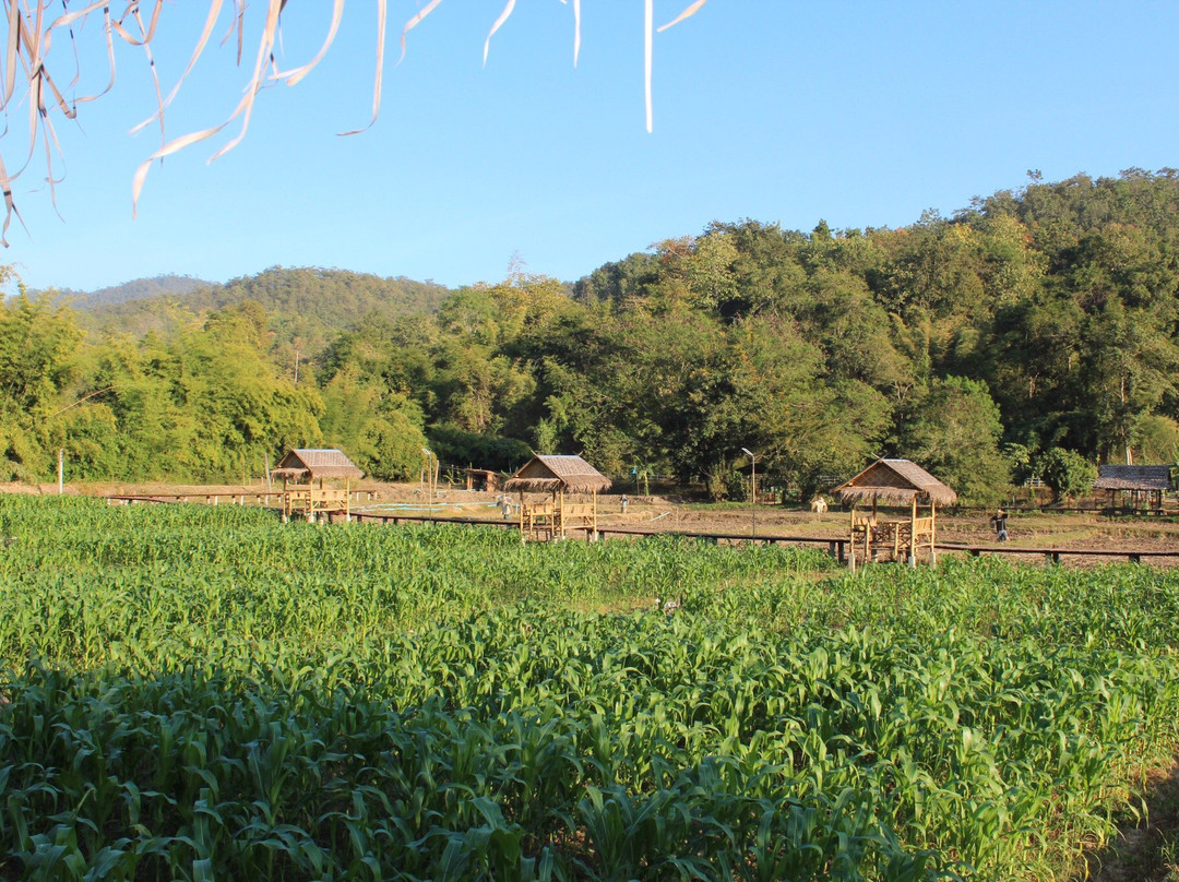 卡伦生态小屋旅馆主图