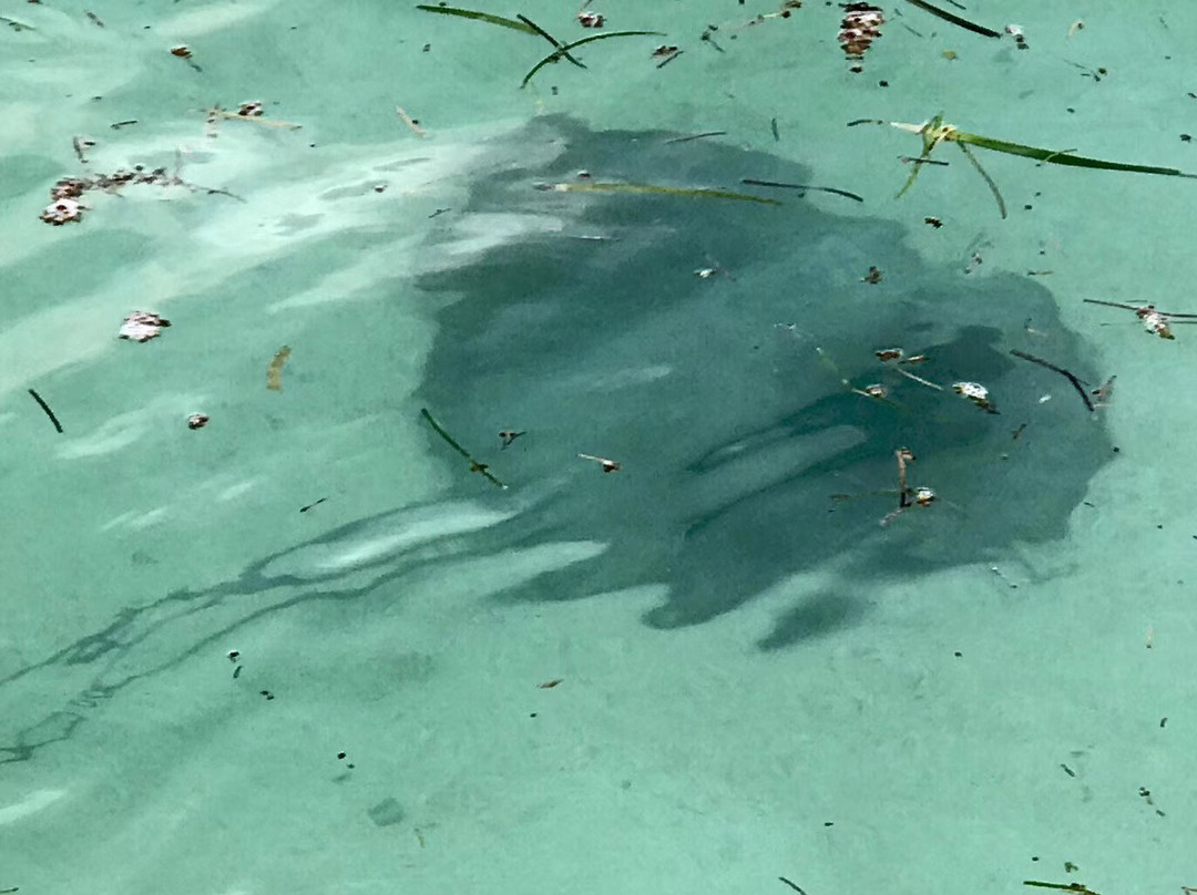 魔法岛度假酒店主图